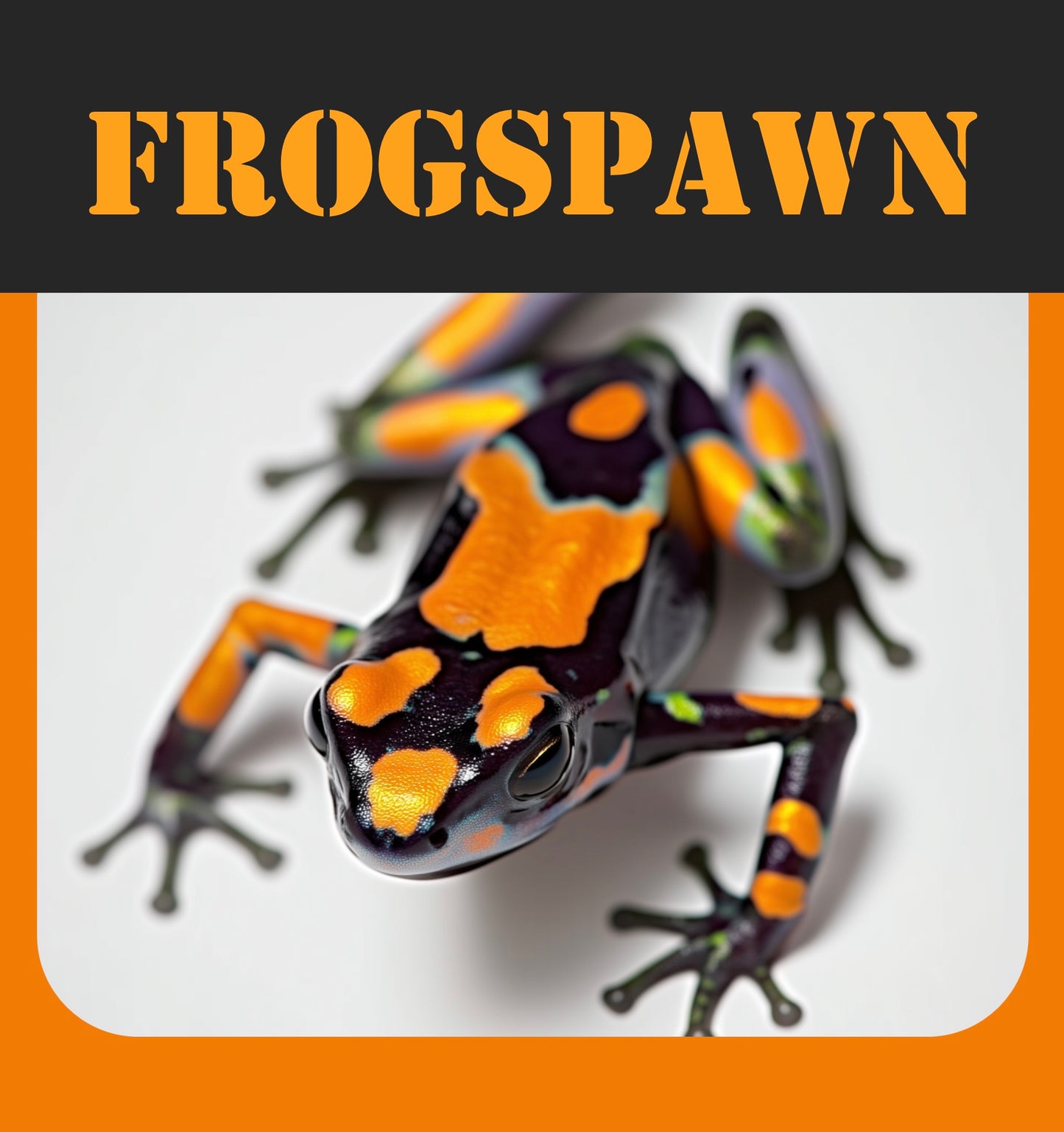 Frogspawn